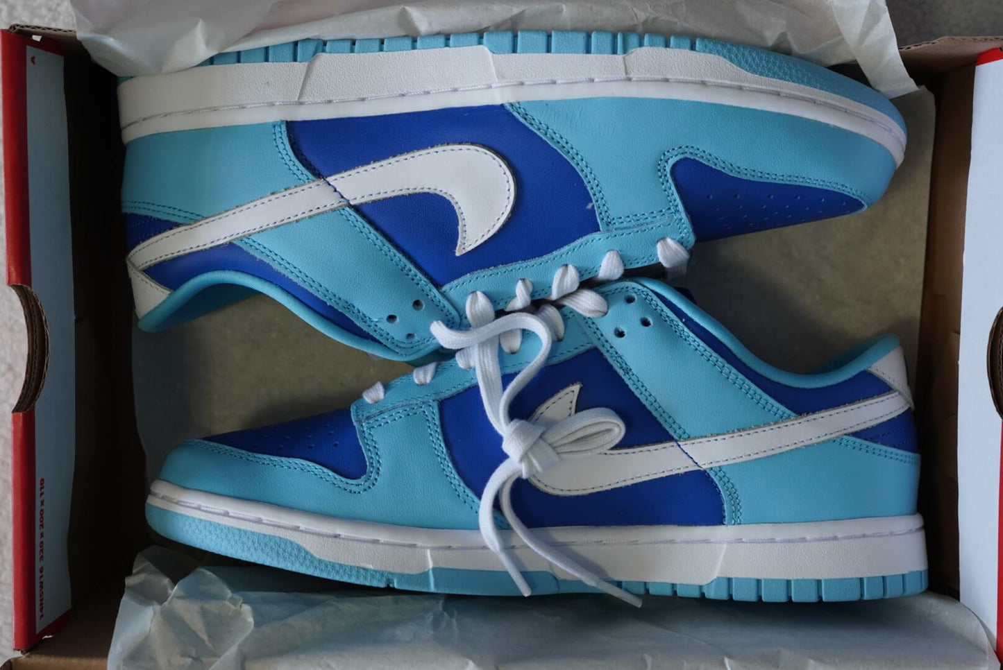Sneakers Nike Dunk Low Retro Argon 2022. Talla 26 cms